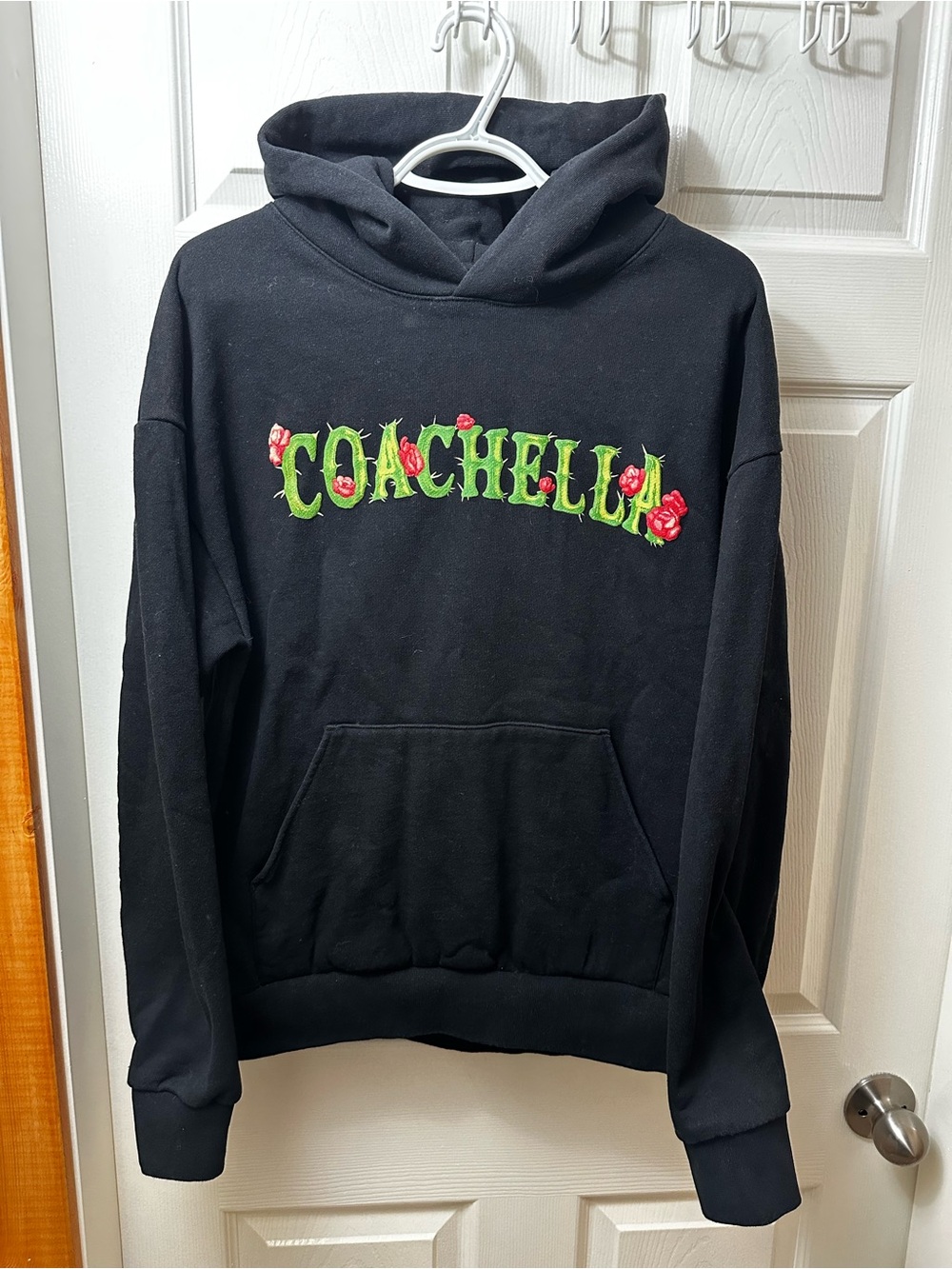 Coachella 2025 Hoodie Unisex